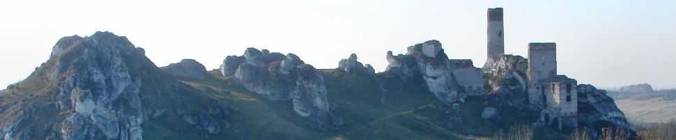 Wzgórze zamkowe w Olsztynie widok od strony skały Pustelnica