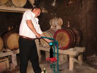 Wine cellar in Melnik